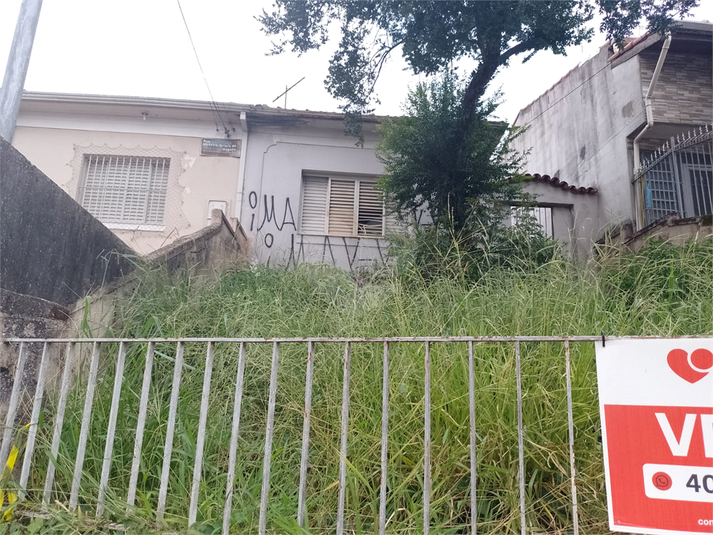 Foto REO1065624