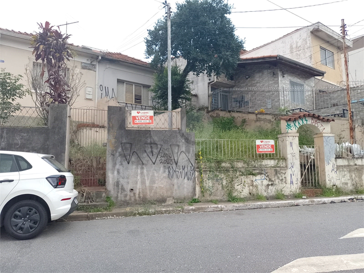 Foto REO1065624