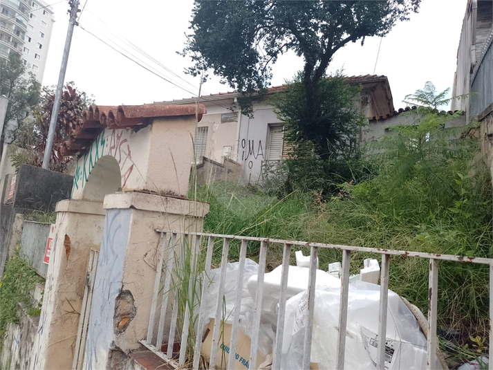 Foto REO1065624