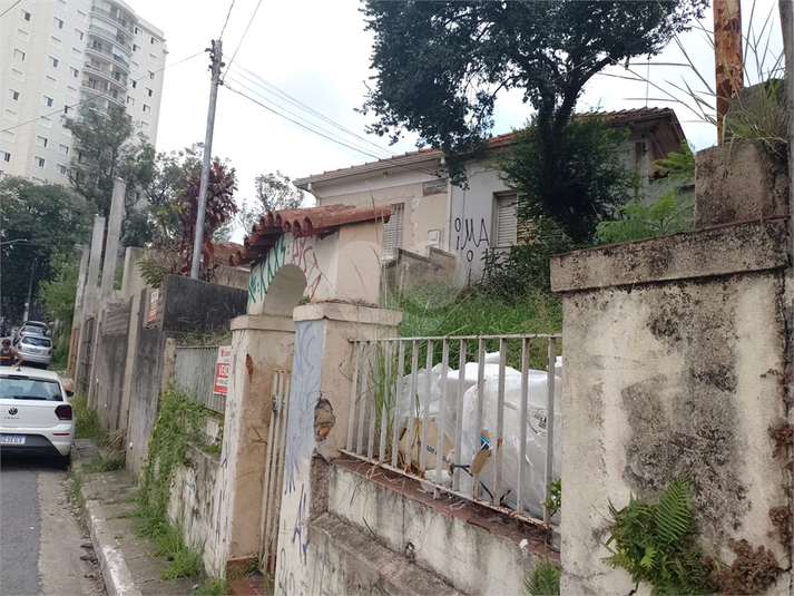 Foto REO1065624