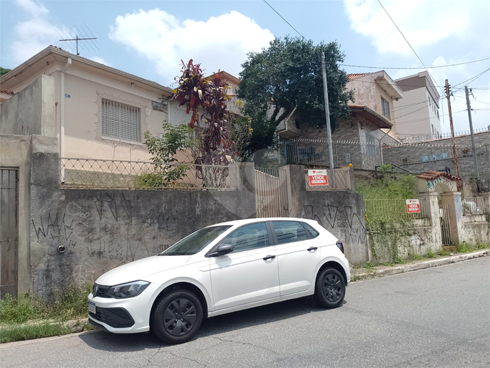 Foto REO1065624