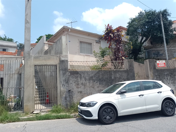 Foto REO1065624