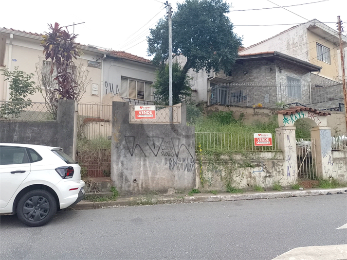 Foto REO1065624