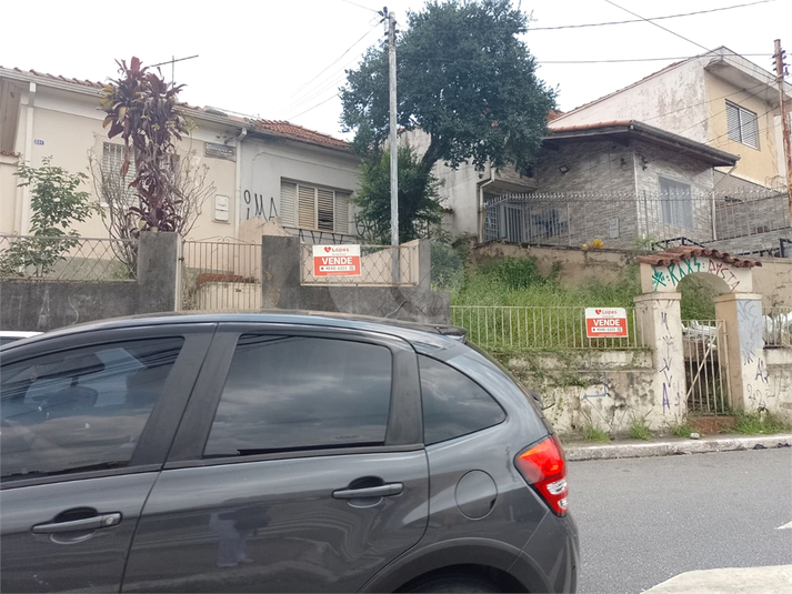 Foto REO1065624