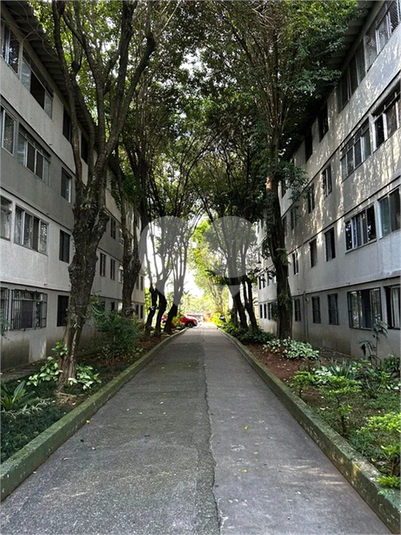 Foto REO1065627