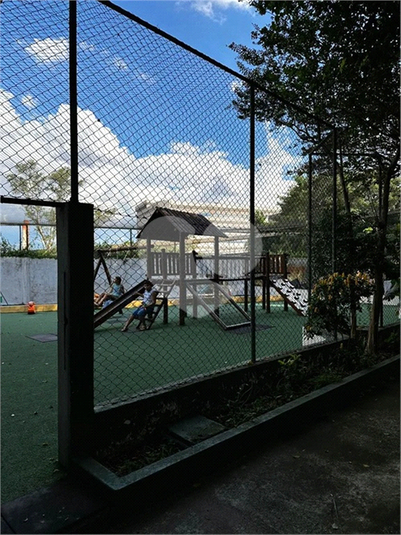 Foto REO1065627