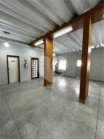 Foto REO1065627