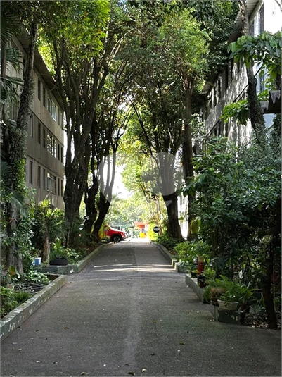 Foto REO1065627