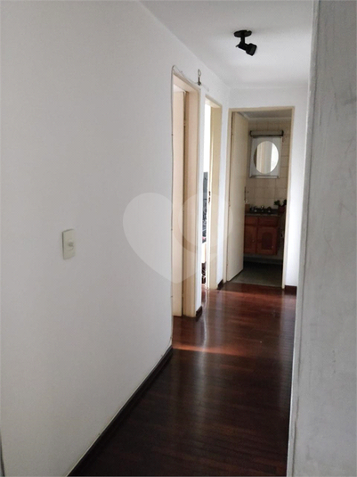 Foto REO1065627