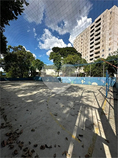 Foto REO1065627