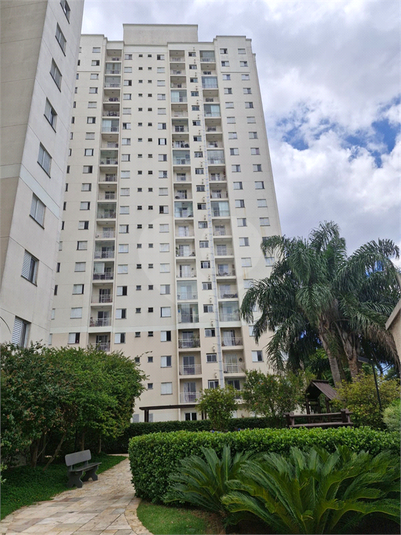 Foto REO1065632