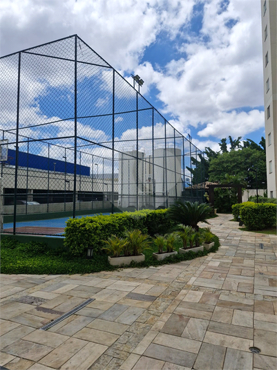 Foto REO1065632