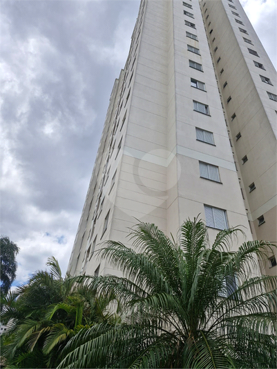 Foto REO1065632