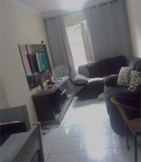 Foto REO1065638