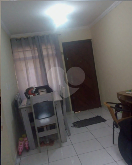 Foto REO1065638