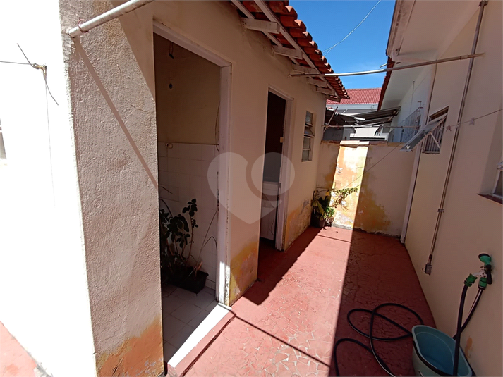 Foto REO1065652
