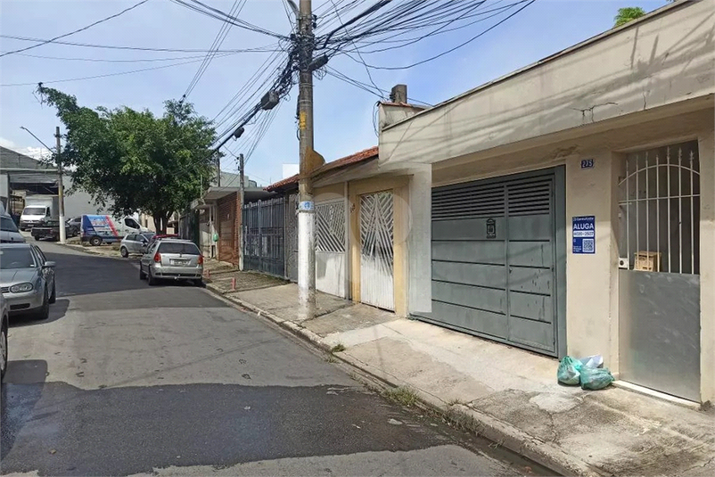 Foto REO1065664