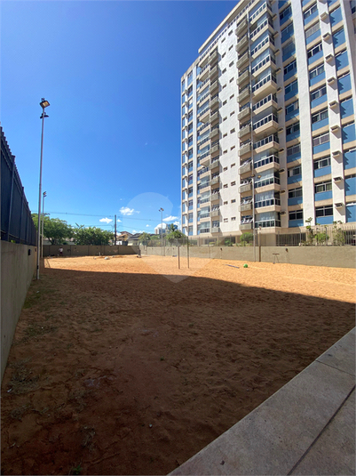 Foto REO1065672