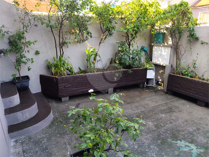 Foto REO1065720