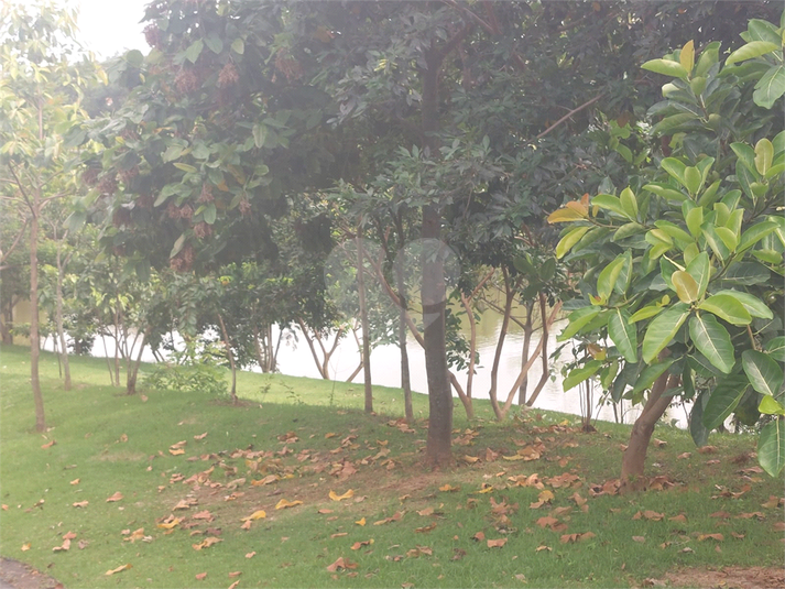 Foto REO1065728