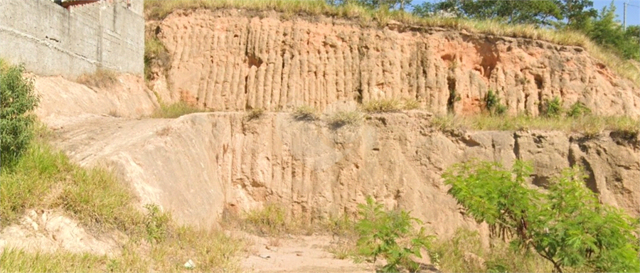 Foto REO1065734