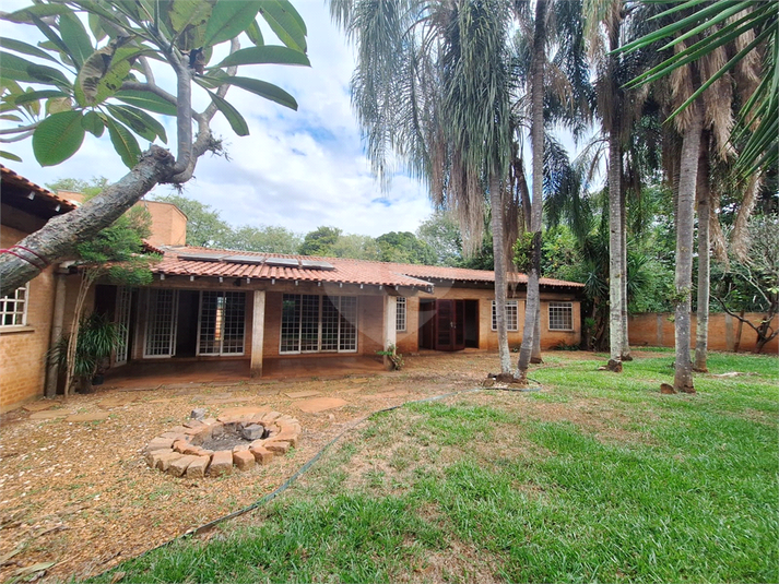 Foto REO1065736