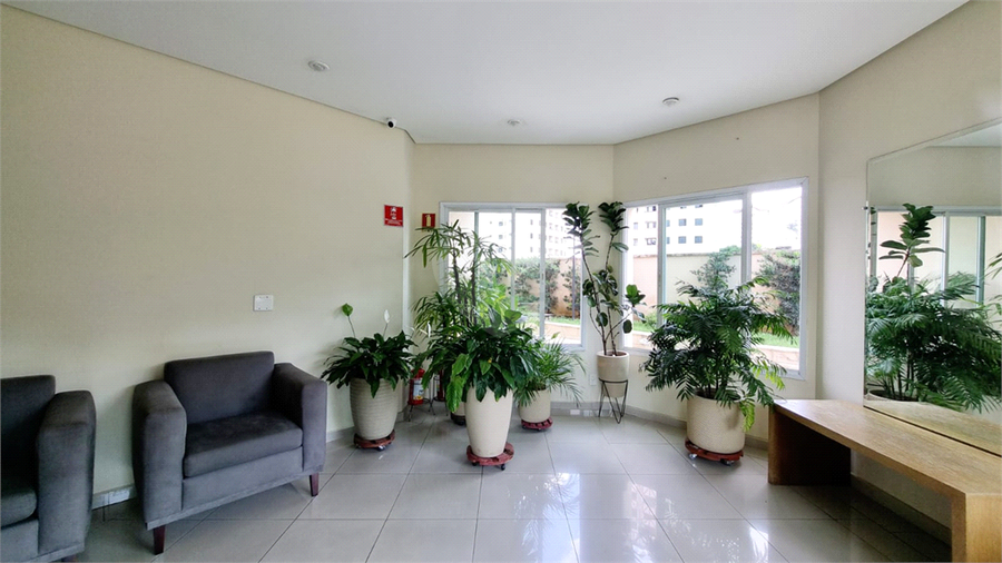 Foto REO1065740