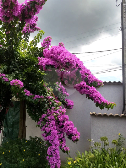 Venda Casa Atibaia Vila Petrópolis REO1065747 33