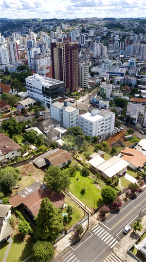 Foto REO1065769