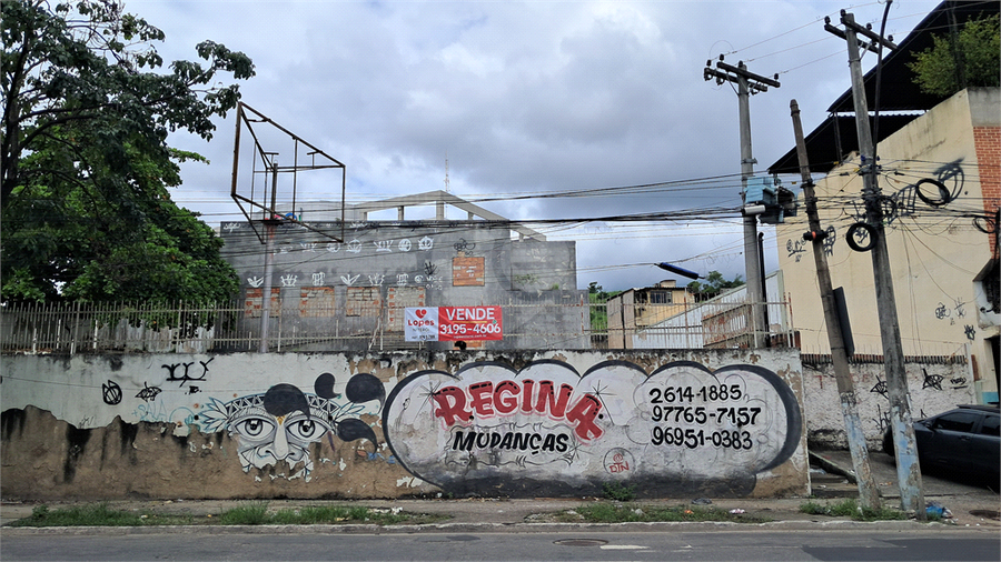 Foto REO1065788