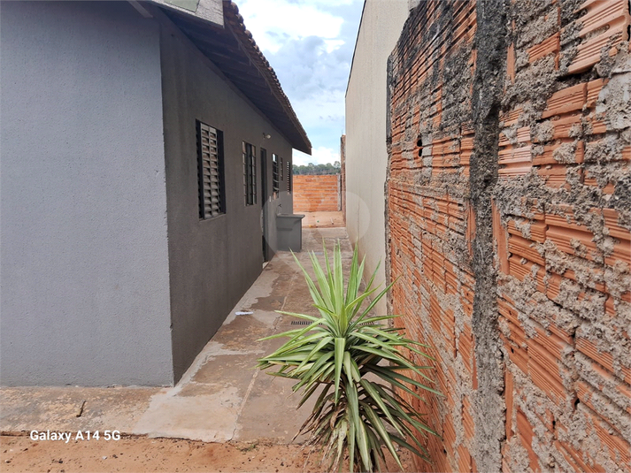 Foto REO1065794