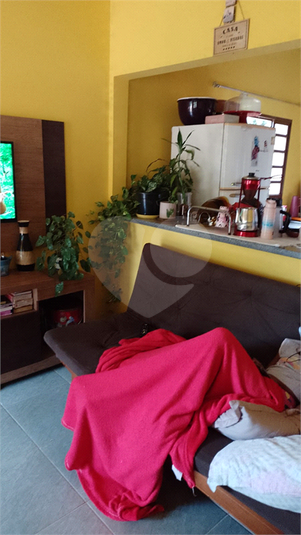 Foto REO1065809