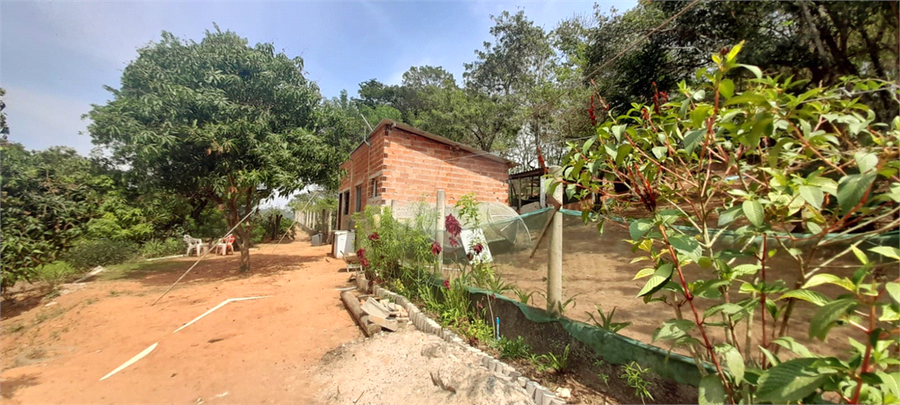 Foto REO1065809