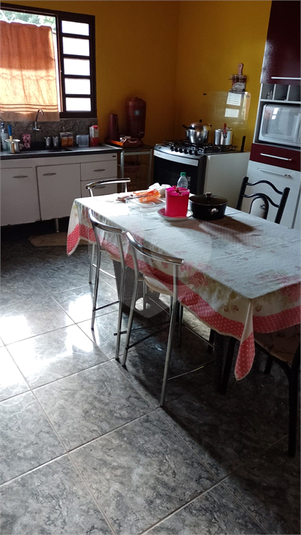 Foto REO1065809