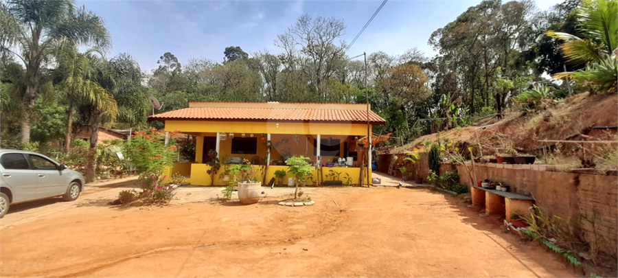 Foto REO1065809