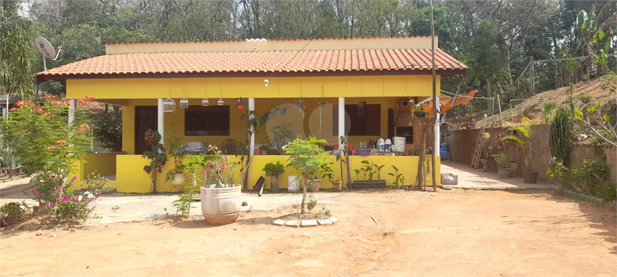 Foto REO1065809
