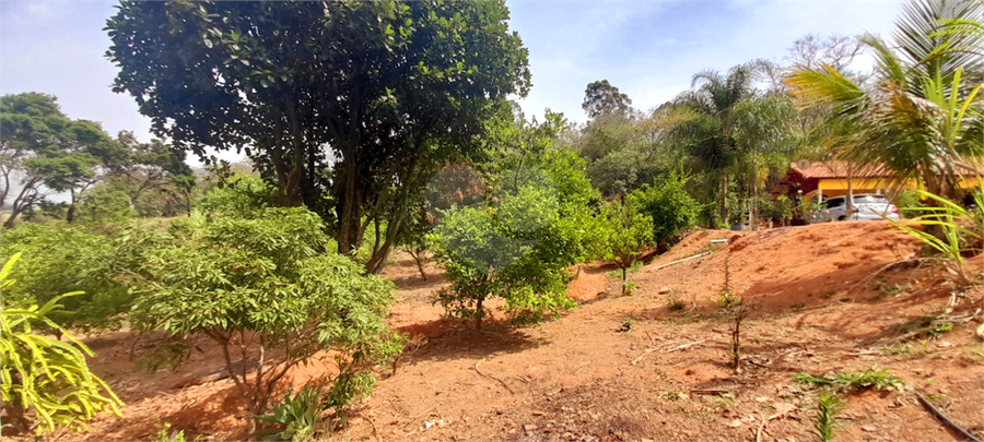 Foto REO1065809
