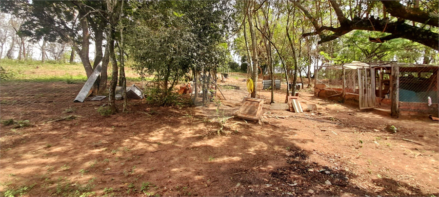 Foto REO1065809
