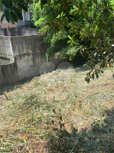 Foto REO1065841