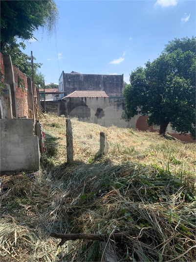Foto REO1065841