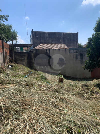 Foto REO1065841