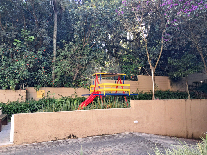 Foto REO1065847