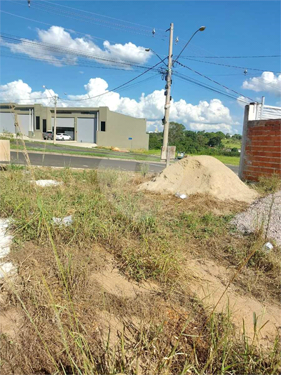 Foto REO1065848