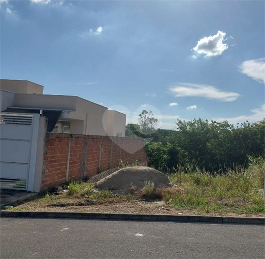 Foto REO1065848