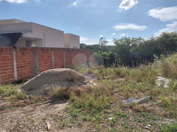 Foto REO1065848