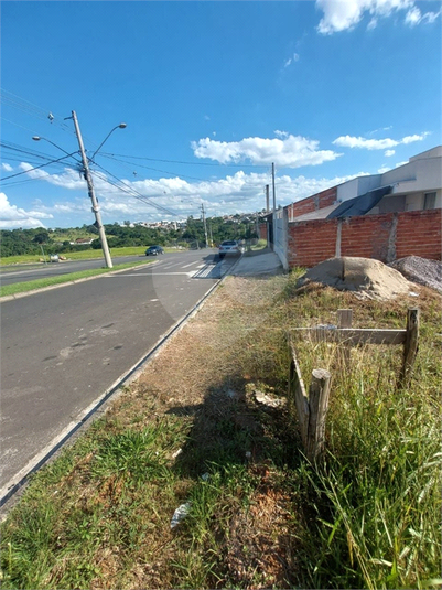 Foto REO1065848