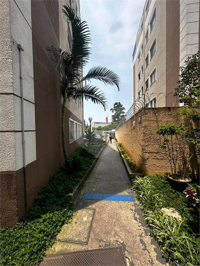 Foto REO1065852