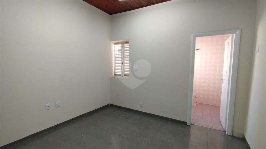 Foto REO1065878