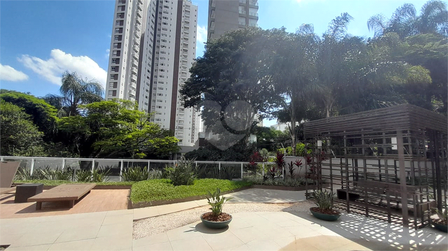Foto REO1065885