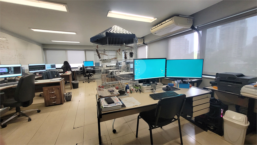 Foto REO1065927